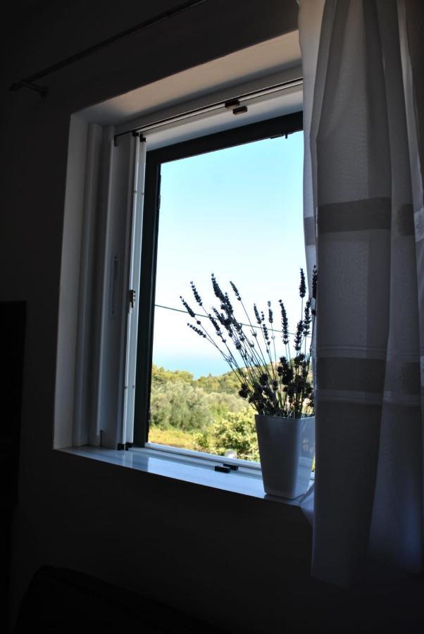 מלון Tsoukaládhes Monika Lefkada מראה חיצוני תמונה