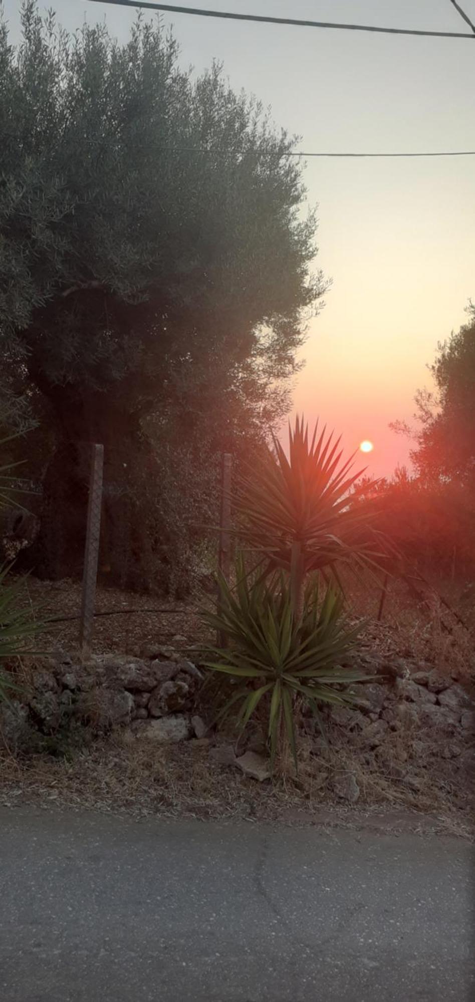 מלון Tsoukaládhes Monika Lefkada מראה חיצוני תמונה