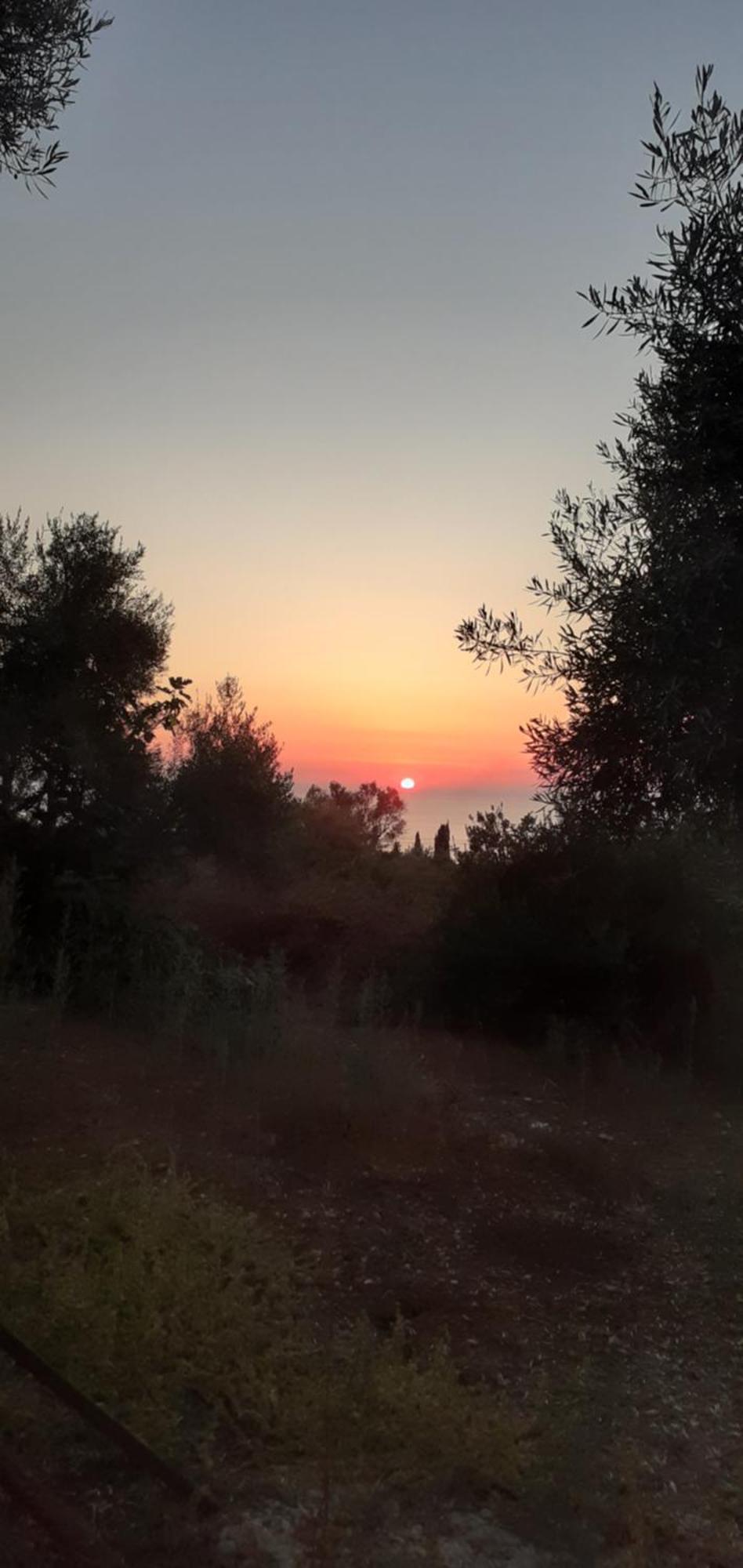 מלון Tsoukaládhes Monika Lefkada מראה חיצוני תמונה