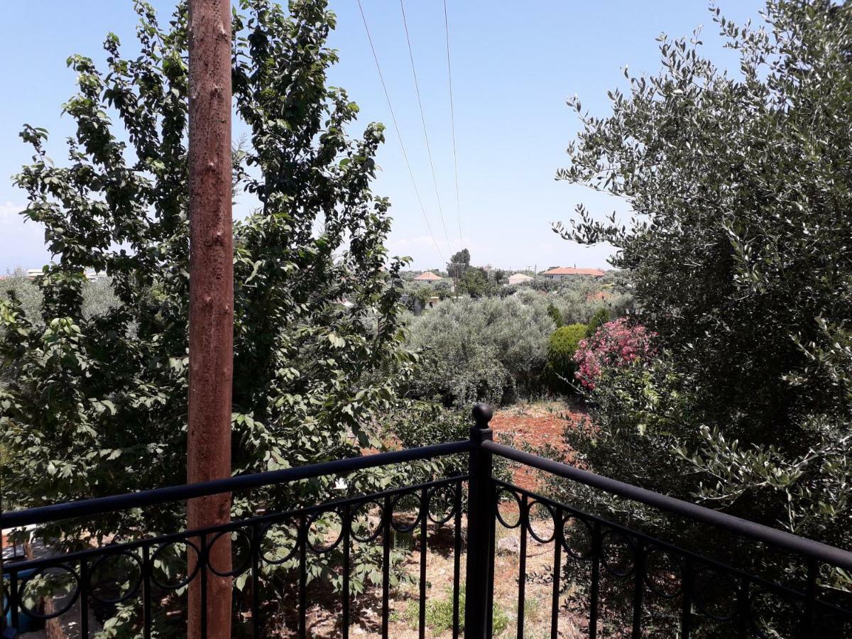 מלון Tsoukaládhes Monika Lefkada מראה חיצוני תמונה
